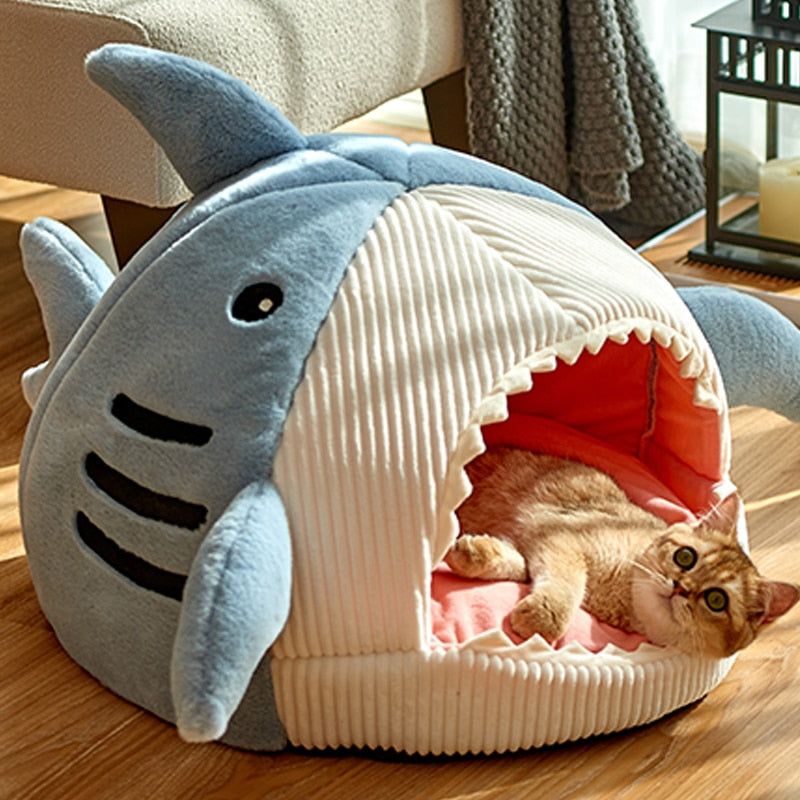 Kittens Basket - Sunny Sydney Australia - Famous Outdoor Gear Store