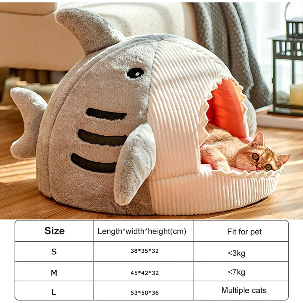 Kittens Basket - Sunny Sydney Australia - Famous Outdoor Gear Store