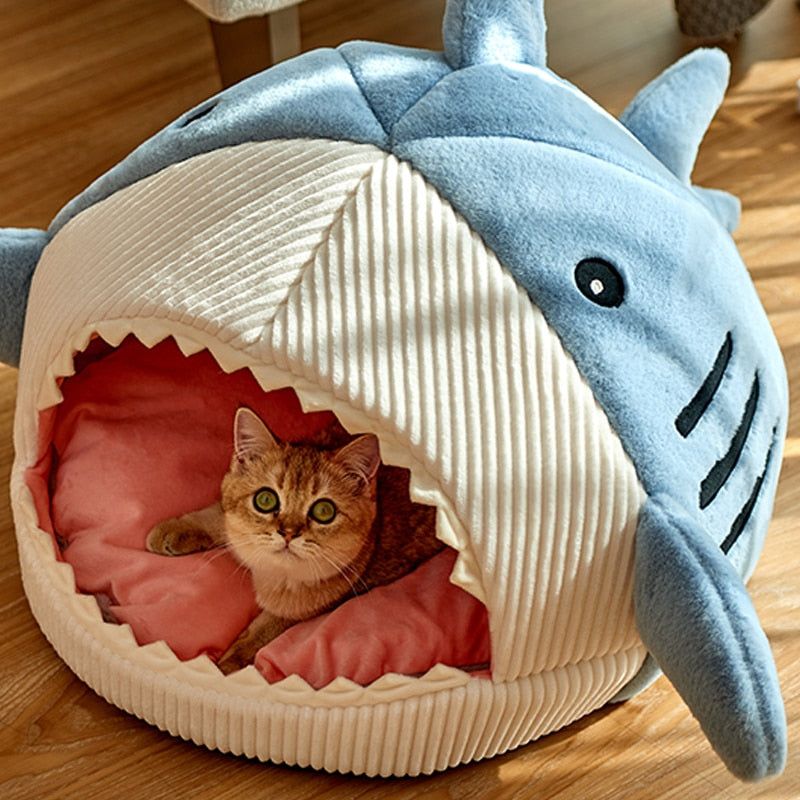Kittens Basket - Sunny Sydney Australia - Famous Outdoor Gear Store