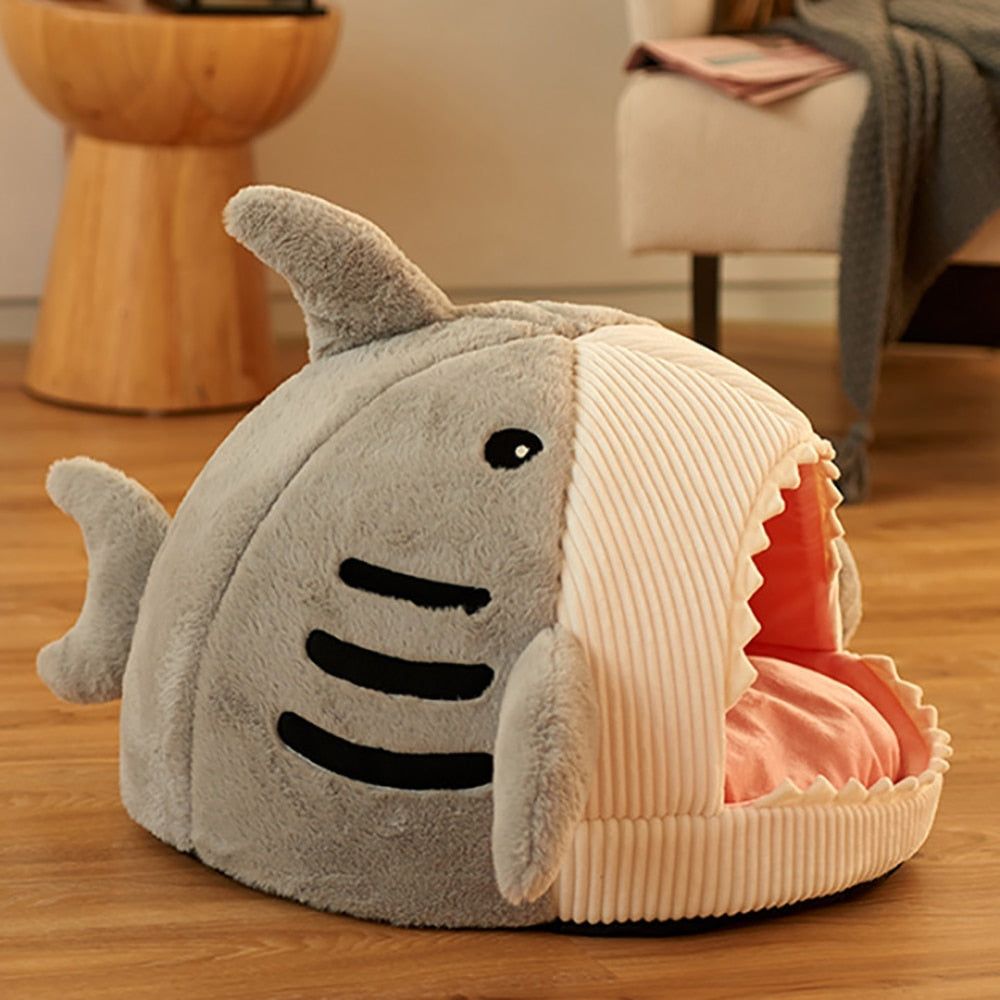 Kittens Basket - Sunny Sydney Australia - Famous Outdoor Gear Store
