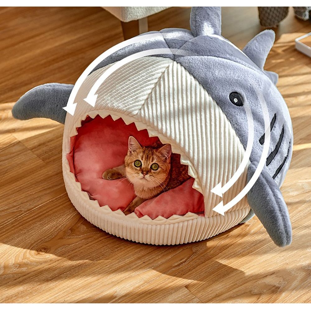 Kittens Basket - Sunny Sydney Australia - Famous Outdoor Gear Store