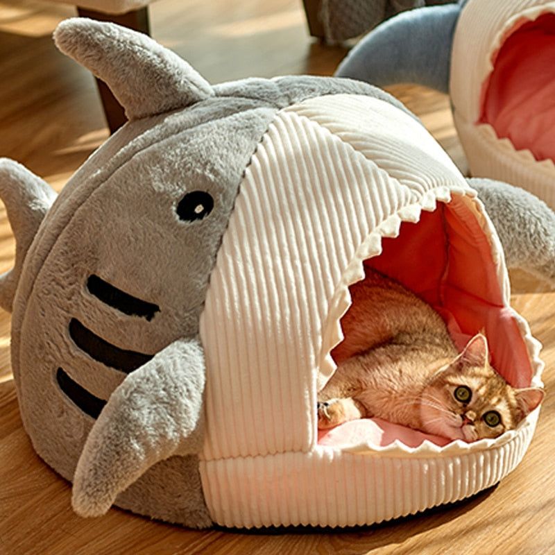 Kittens Basket - Sunny Sydney Australia - Famous Outdoor Gear Store