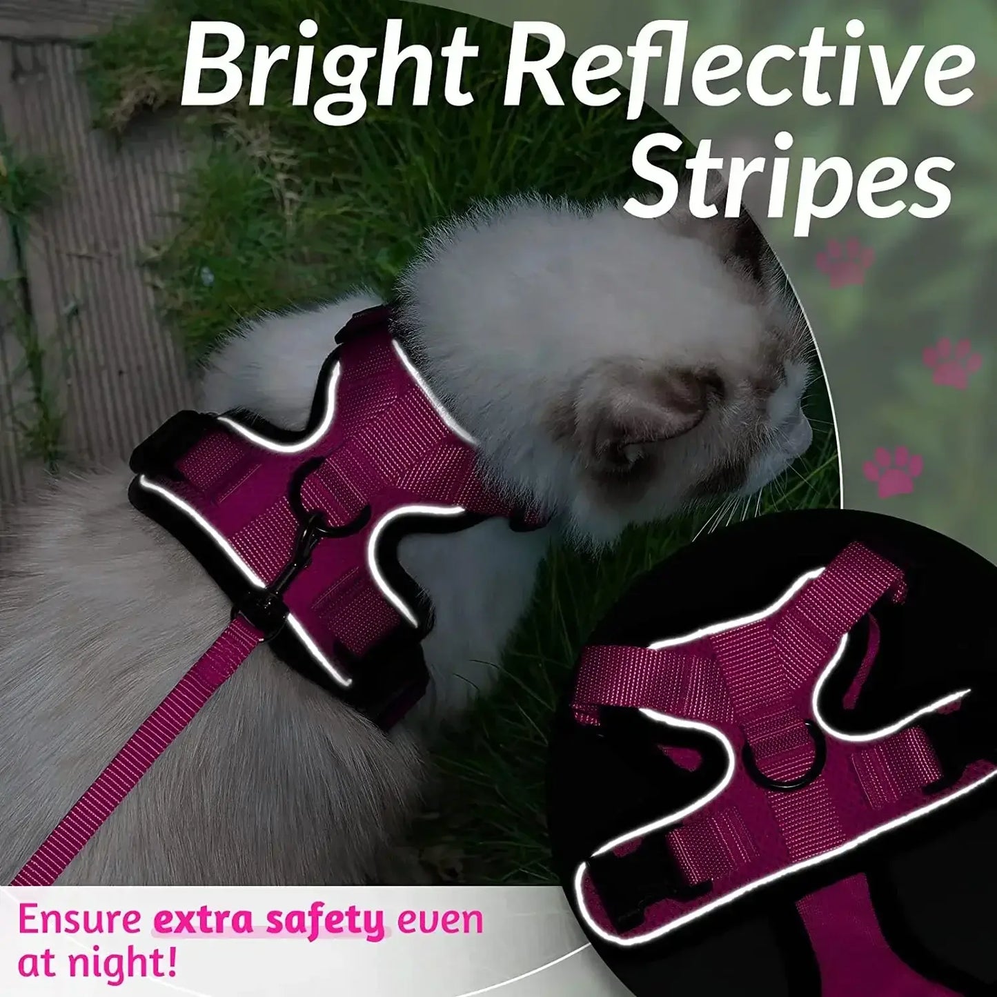 Cat wearing a pink reflective harness with leash, highlighting bright stripes for enhanced safety during outdoor activities at night.