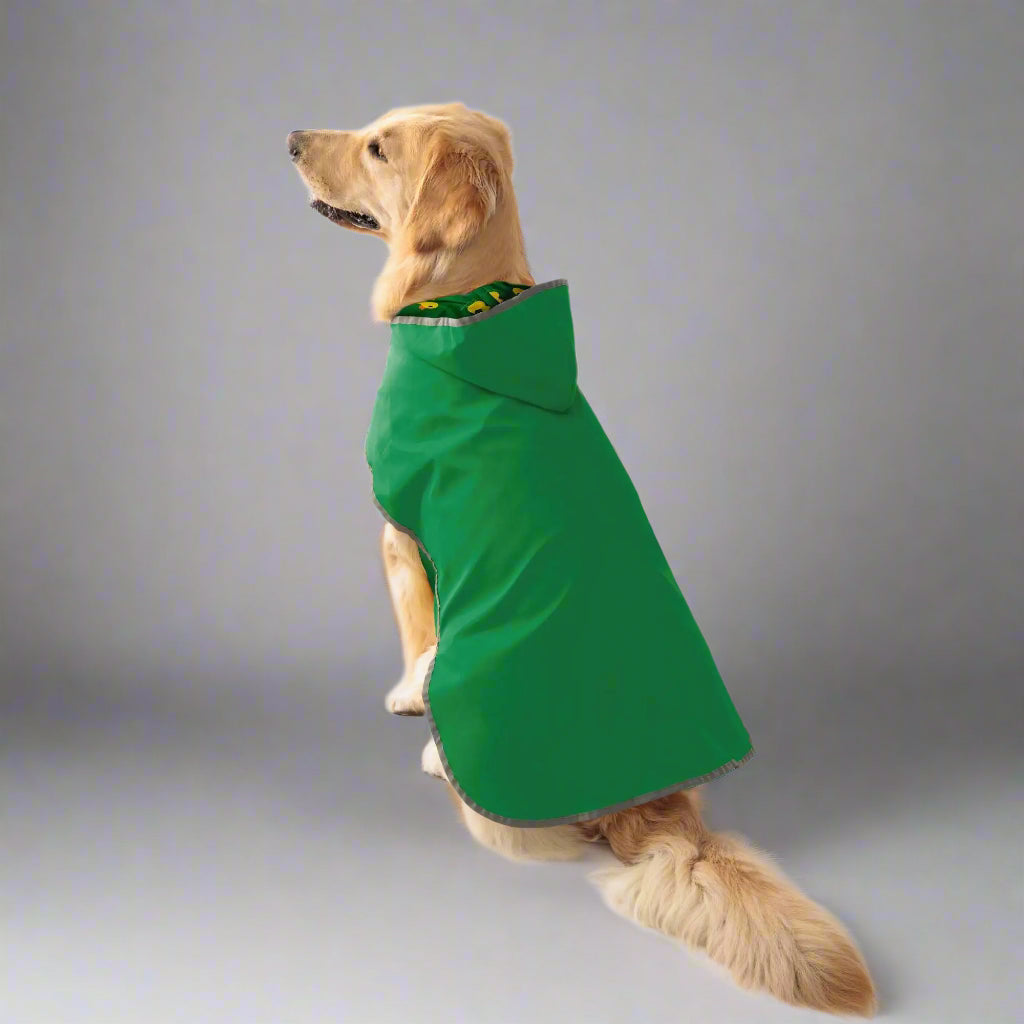 Golden retriever wearing a green dog raincoat by Pets Tale for rainy weather protection.