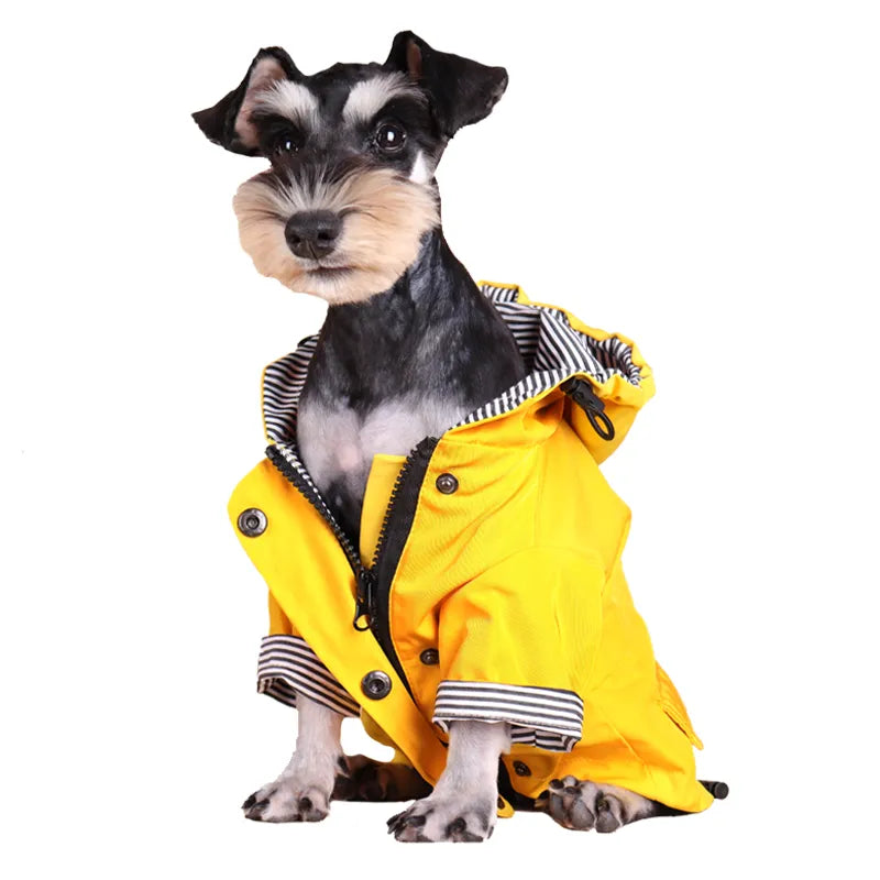 Dog wearing a yellow waterproof raincoat for protection from cold, wind, and snow, suitable for small to large breeds like French Bulldogs and Labradors.