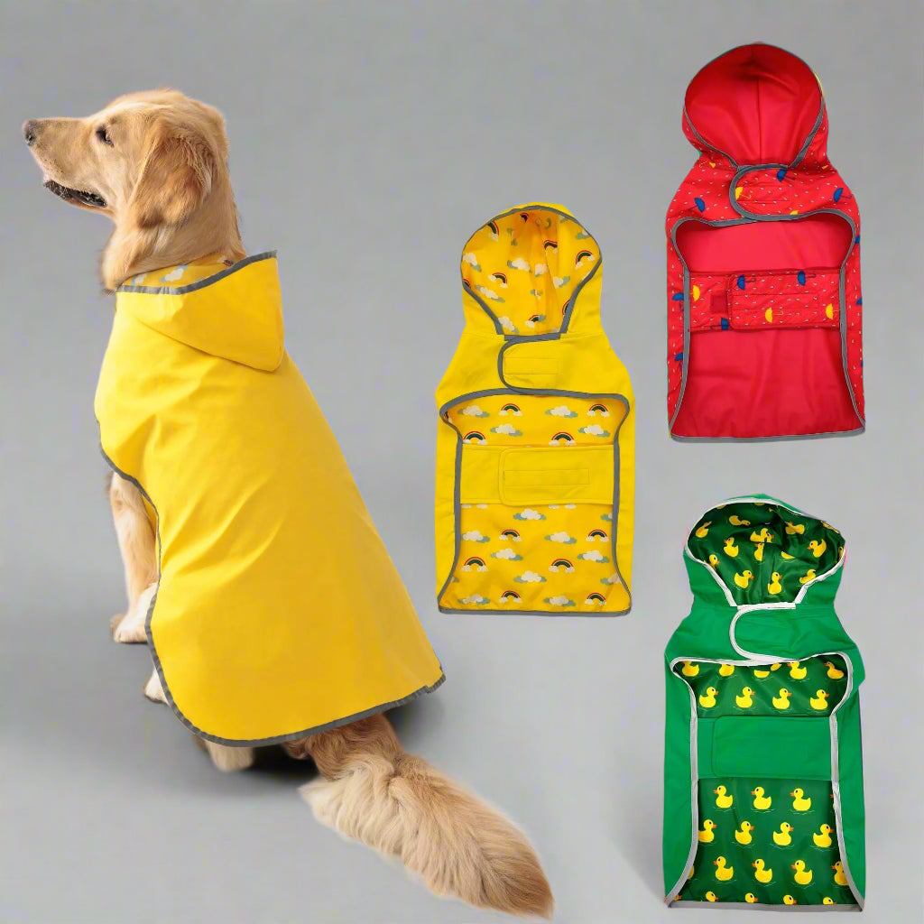 Golden Retriever wearing a yellow dog raincoat, with red, green, and yellow dog rain jackets displayed next to it. "Pets Tale – Family Forever" logo shown.