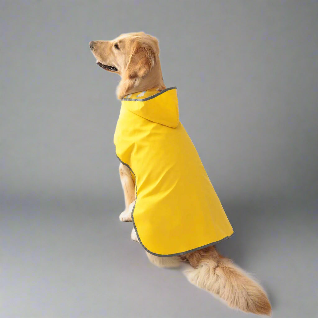 Golden Retriever wearing a yellow dog raincoat from Pets Tale.