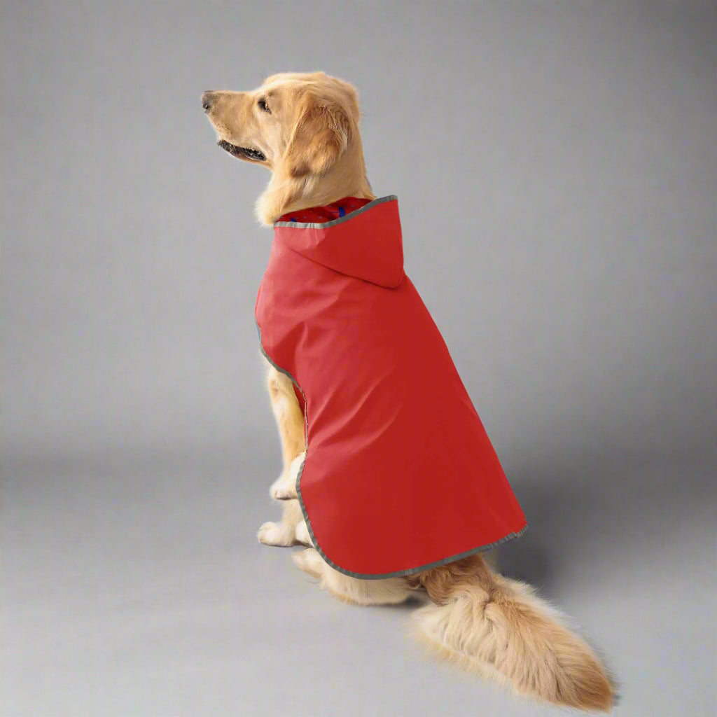 Golden retriever wearing a red dog raincoat from Pets Tale, showcasing the comfortable and stylish design.