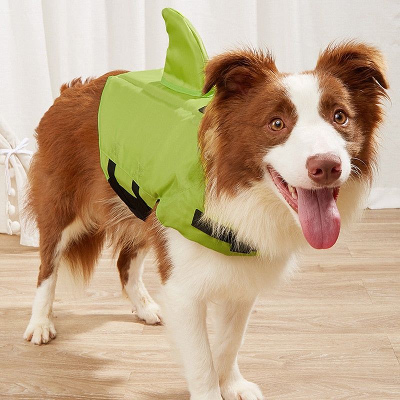 Dog Life Jacket - Sunny Sydney Australia - Famous Outdoor Gear Store