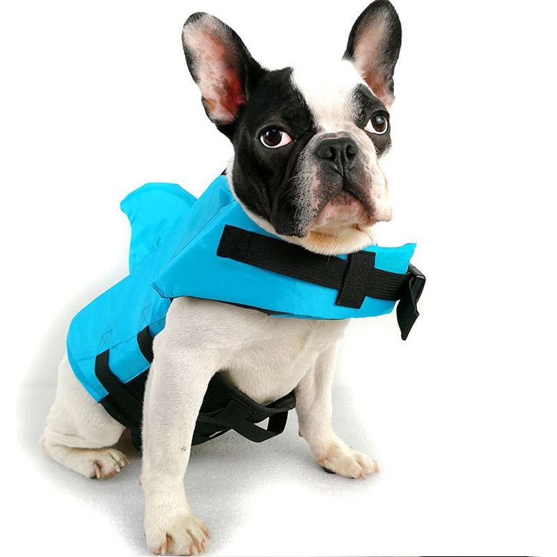 Dog Life Jacket - Sunny Sydney Australia - Famous Outdoor Gear Store