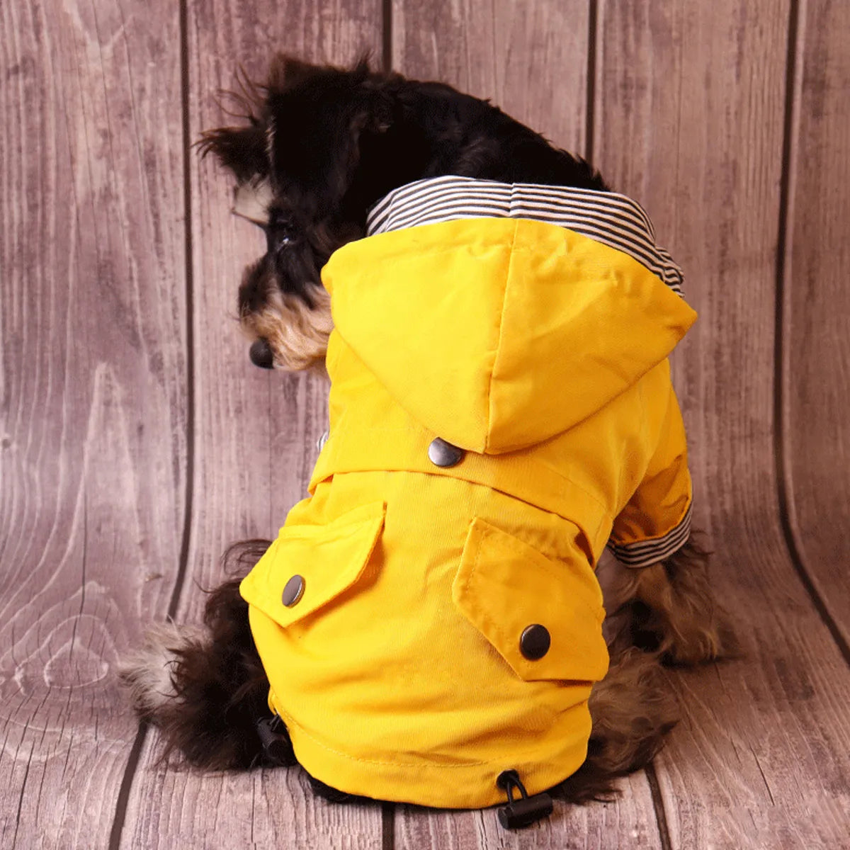 Dog wearing a yellow waterproof raincoat with hood, sitting on a wooden floor, showcasing the stylish and functional design from the back.