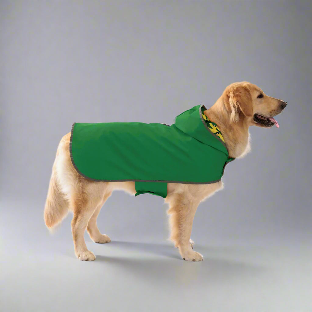 A golden retriever wearing a green dog raincoat by Pets Tale.