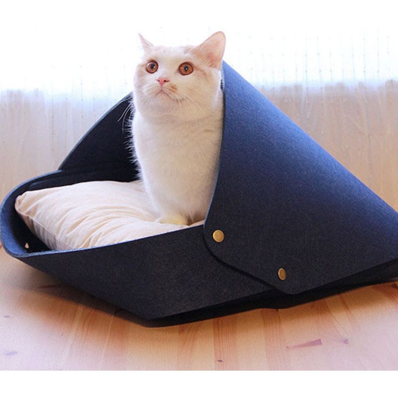 Cute Cat House - Sunny Sydney Australia - Famous Outdoor Gear Store