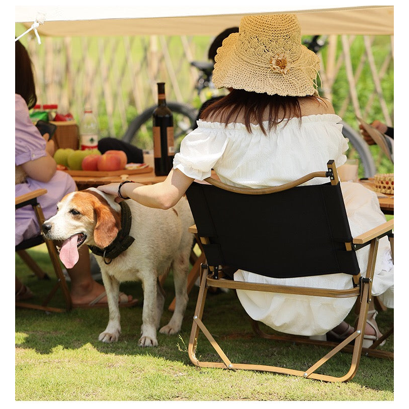 Folding camping chair - Sunny Sydney Australia - Famous Outdoor Gear Store