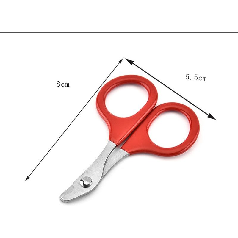 Nail clipper - Sunny Sydney Australia - Famous Outdoor Gear Store