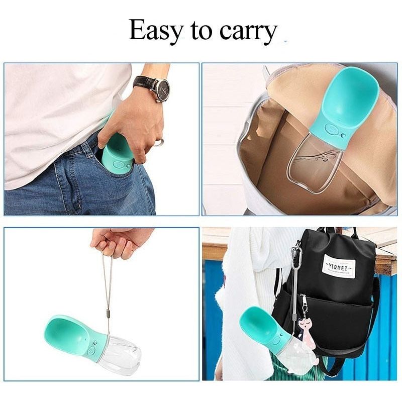 Dog Water Bottle - Sunny Sydney Australia - Famous Outdoor Gear Store