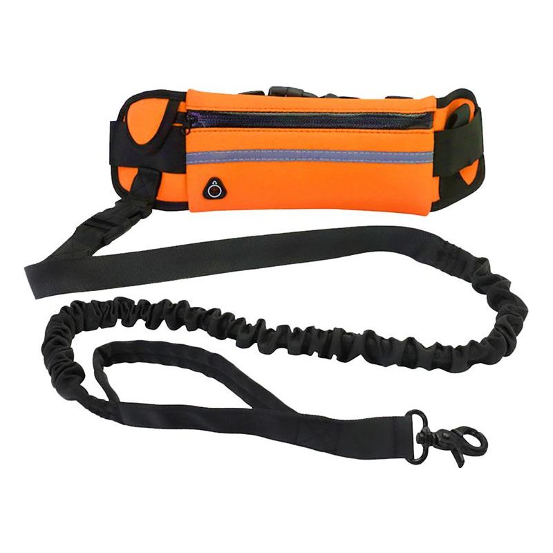 Handsfree Leash - Sunny Sydney Australia - Famous Outdoor Gear Store