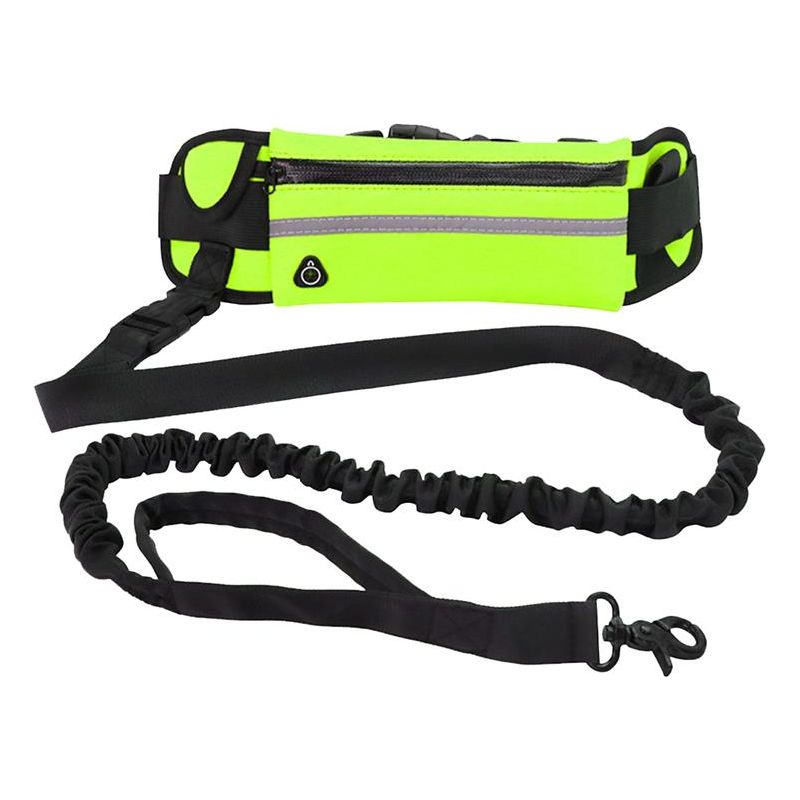 Handsfree Leash - Sunny Sydney Australia - Famous Outdoor Gear Store