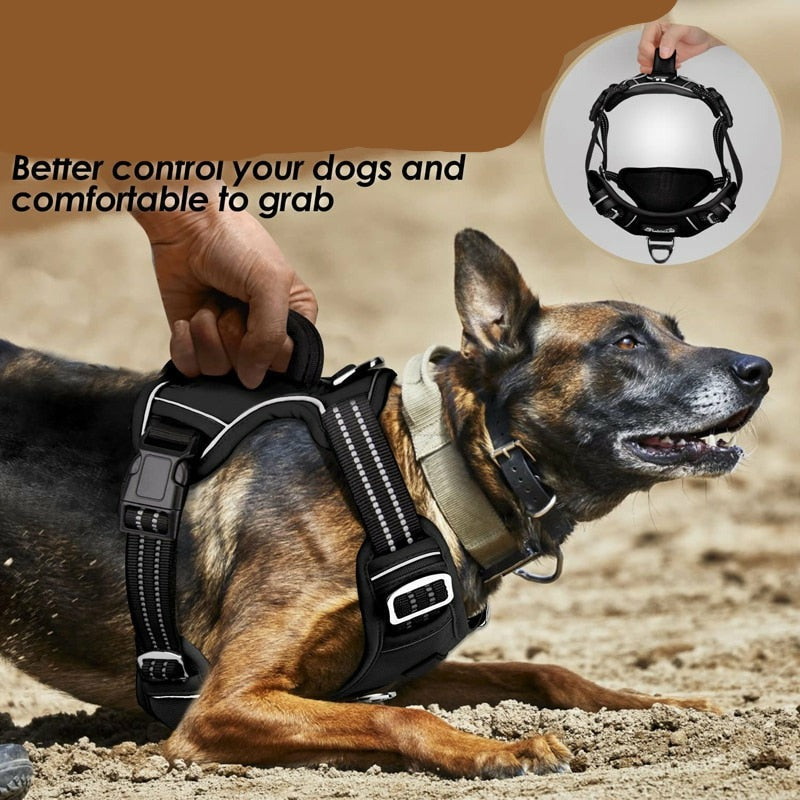 Dog Harness - Sunny Sydney Australia - Famous Outdoor Gear Store