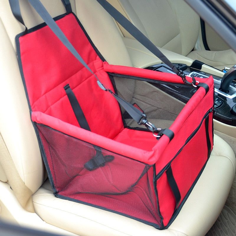 Pet car seat - Sunny Sydney Australia - Famous Outdoor Gear Store