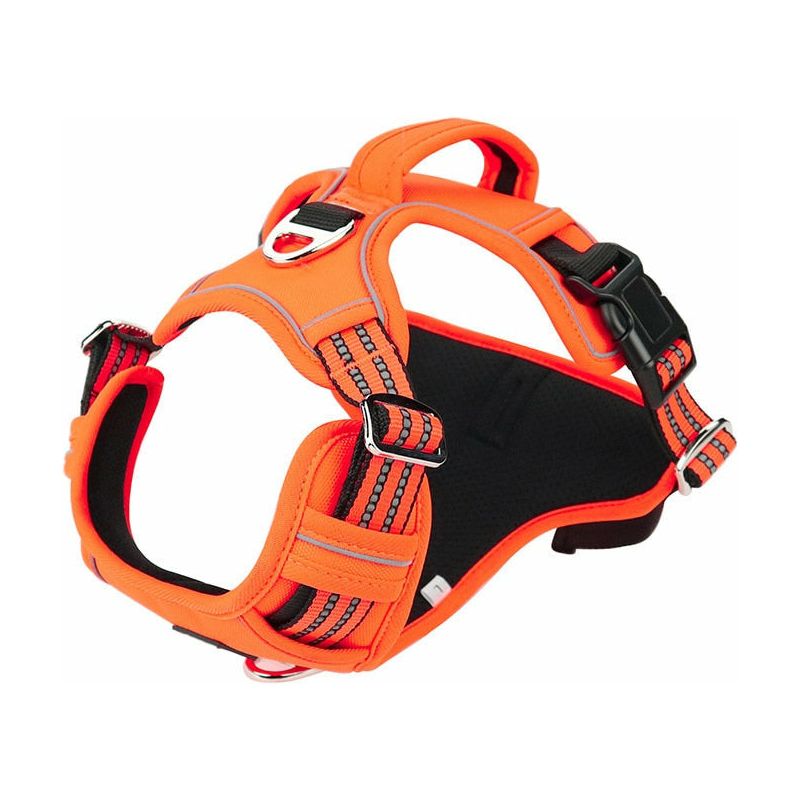 Dog Harness - Sunny Sydney Australia - Famous Outdoor Gear Store