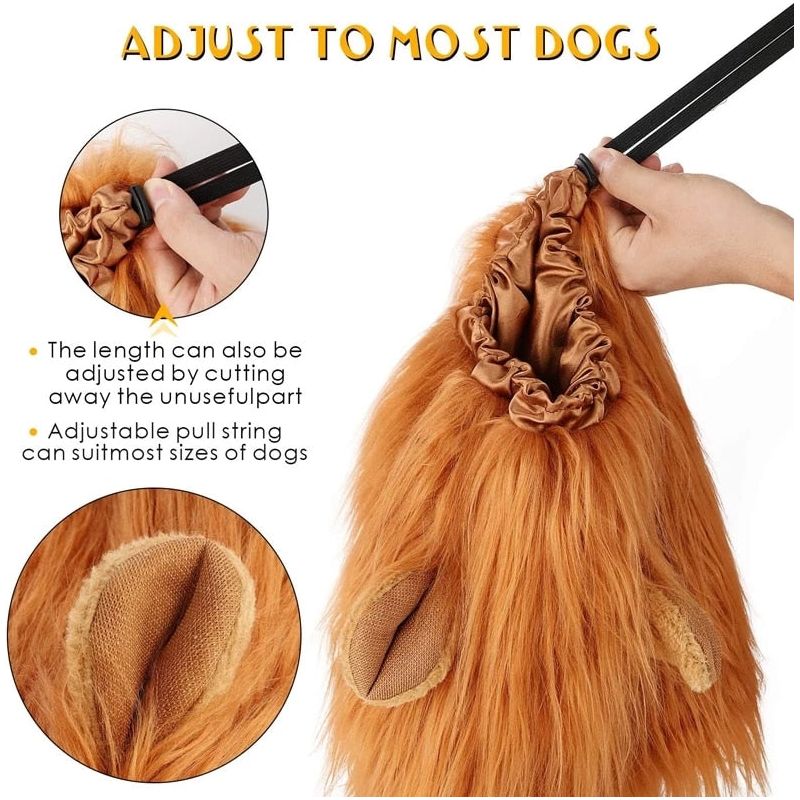 Dog's Lion Costume - Sunny Sydney Australia - Famous Outdoor Gear Store