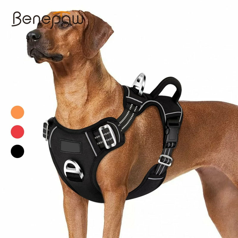 Dog Harness - Sunny Sydney Australia - Famous Outdoor Gear Store