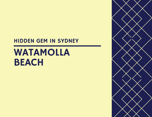 watamollabeachsunnysydneyaustraliablog