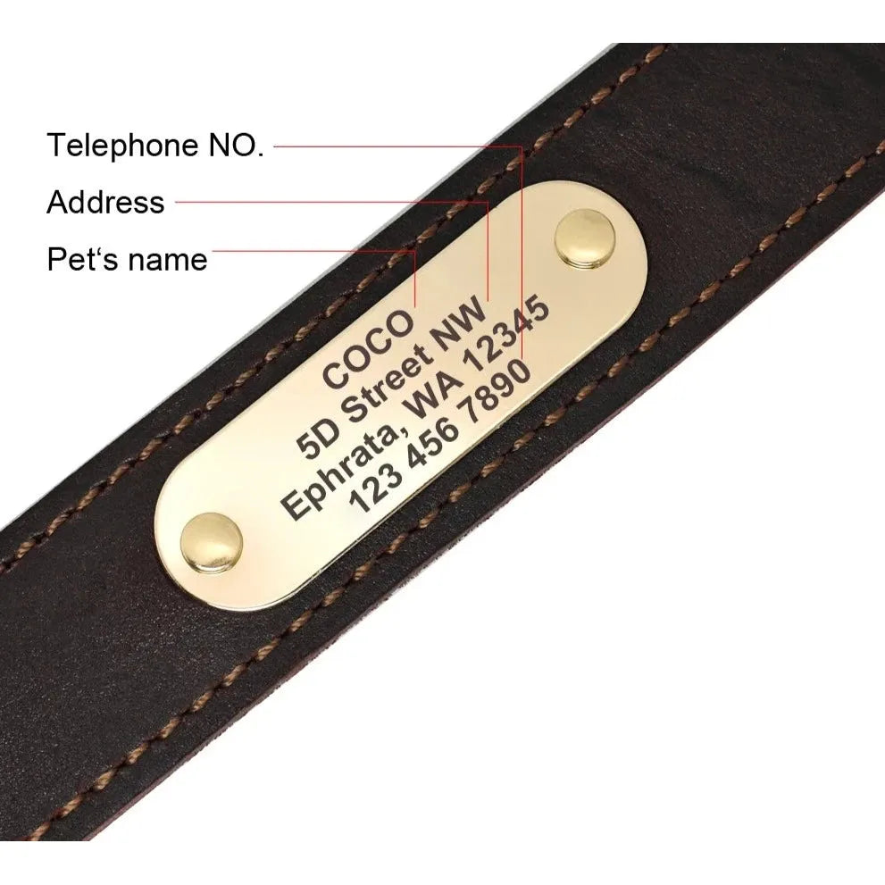 Genuine Leather Engraved Dog Collar