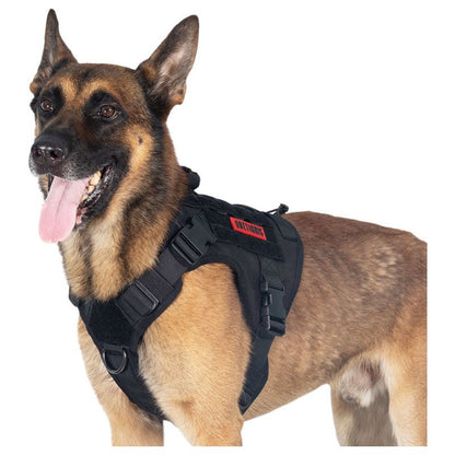 Service Dog Harness - Sunny Sydney Australia - Famous Outdoor Gear Store