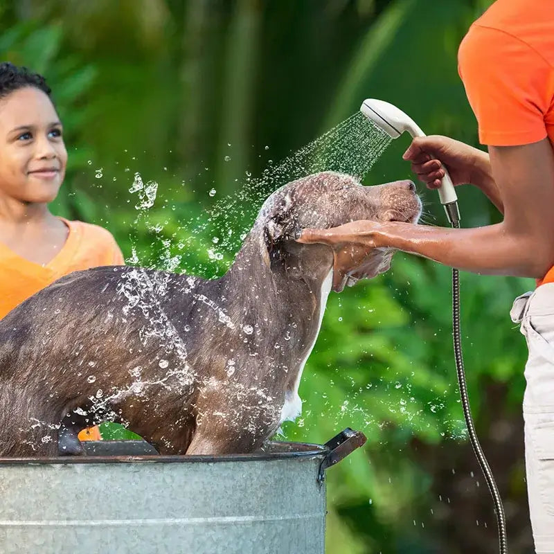 Portable outdoor shower used to wash dog in large tub, creating a convenient and refreshing experience for pet bathing.