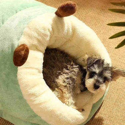 Cozy small dog nestled in a soft, slipper-shaped pet bed for ultimate comfort and warmth.