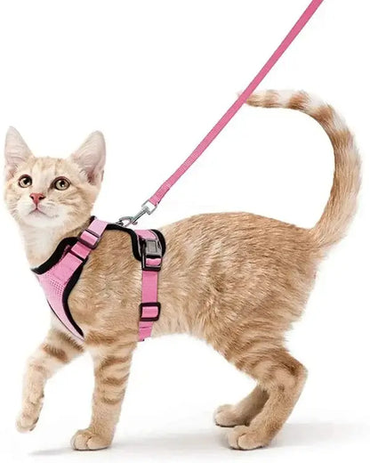 Cat wearing a pink harness and leash, ideal for outdoor activities, with escape-proof design and safety buckles for security.