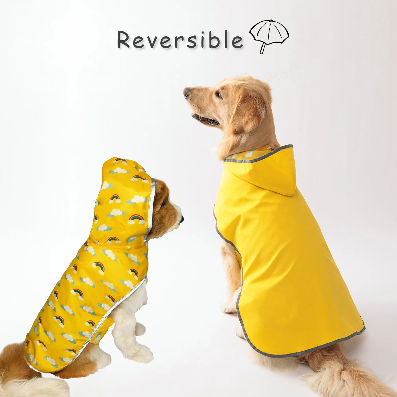 Two dogs wearing a reversible yellow raincoat for dogs, one side with a solid color and the other with a cloud pattern.