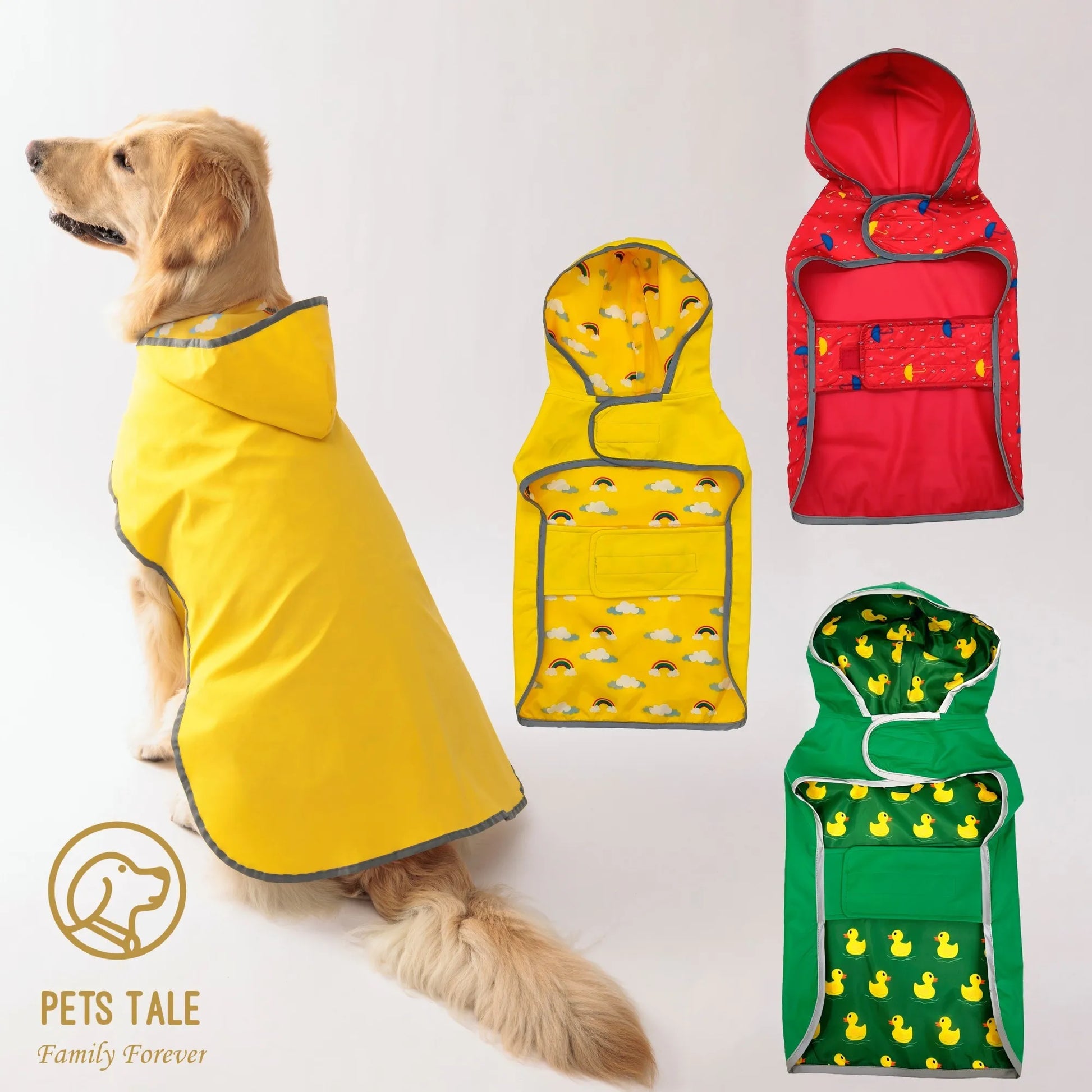 Golden Retriever wearing a yellow dog raincoat, with red, green, and yellow dog rain jackets displayed next to it. "Pets Tale – Family Forever" logo shown.