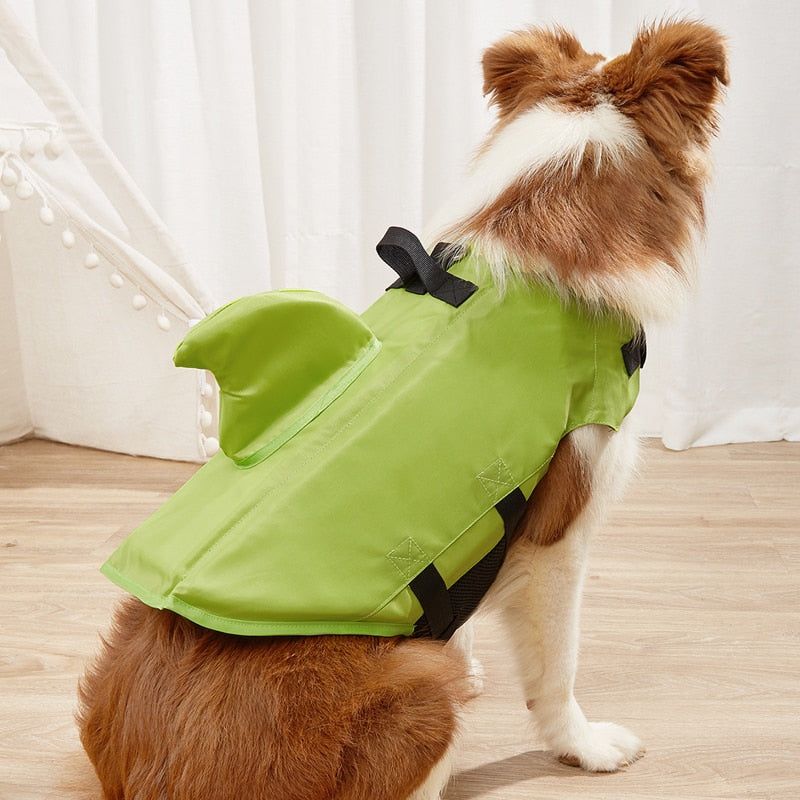 Dog Life Jacket - Sunny Sydney Australia - Famous Outdoor Gear Store