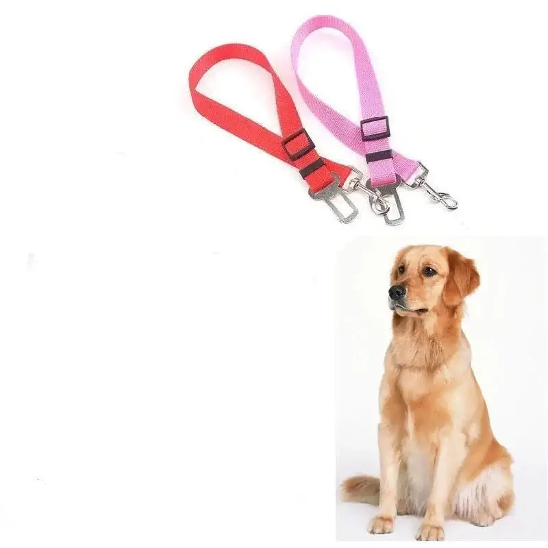 Colorful nylon dog car harnesses with adjustable straps next to a Golden Retriever