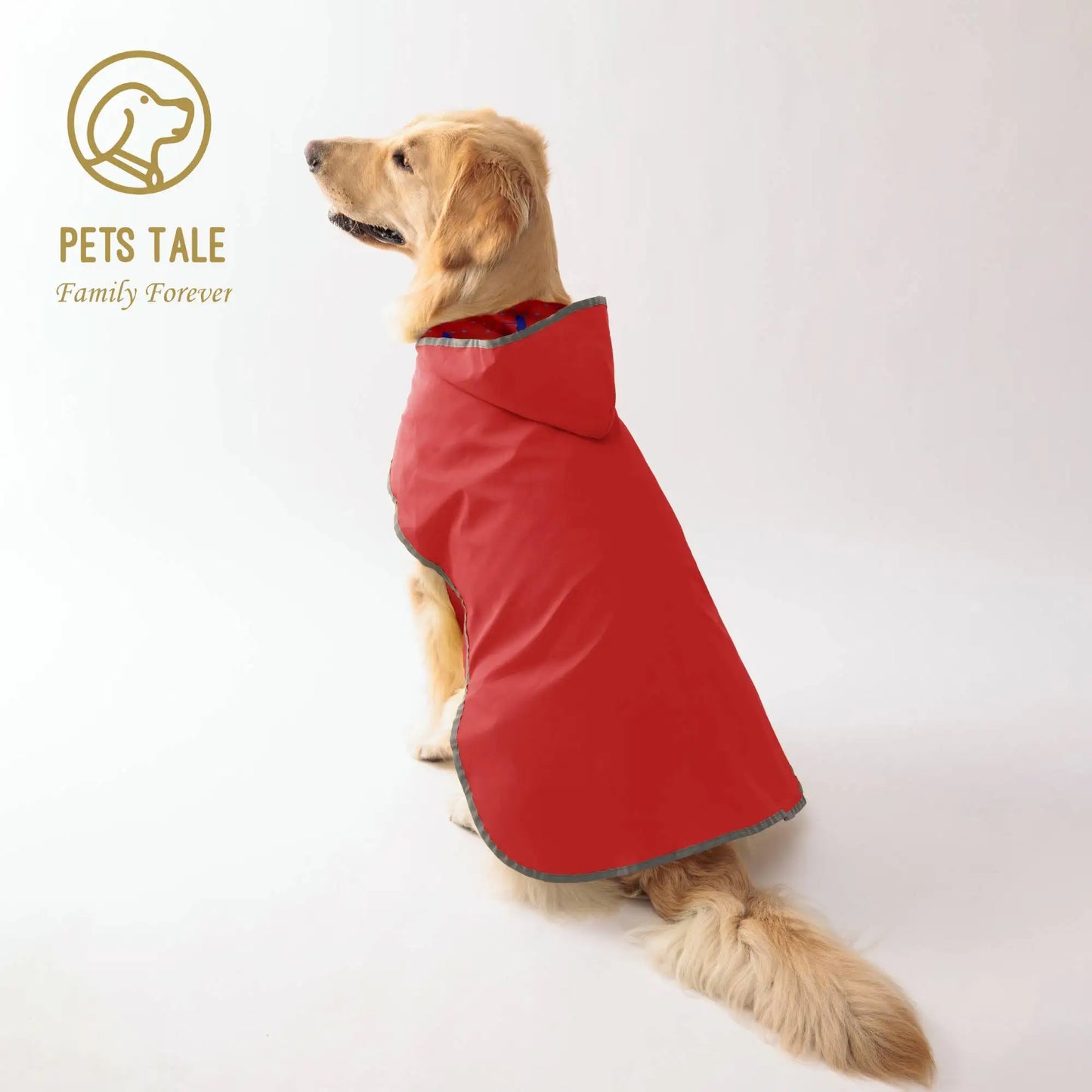 Golden retriever wearing a red dog raincoat from Pets Tale, showcasing the comfortable and stylish design.