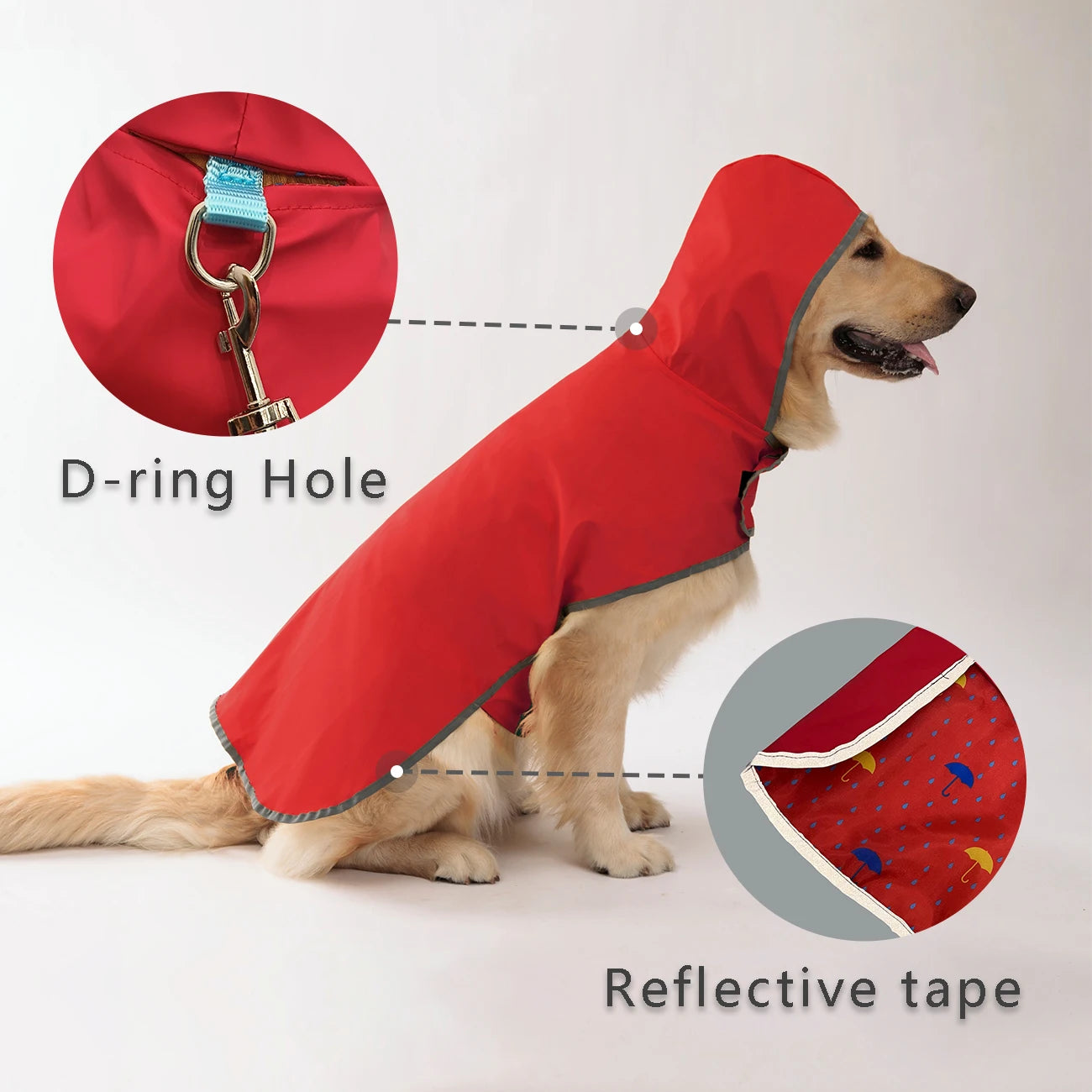 Golden retriever modeling a red dog raincoat with D-ring hole and reflective tape for visibility and safety.