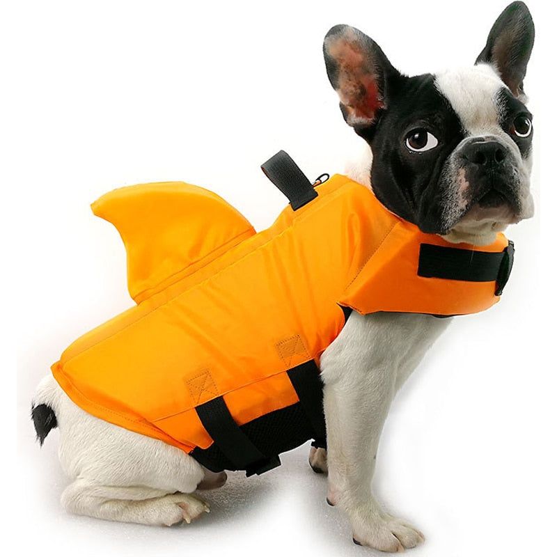 Dog Life Jacket - Sunny Sydney Australia - Famous Outdoor Gear Store