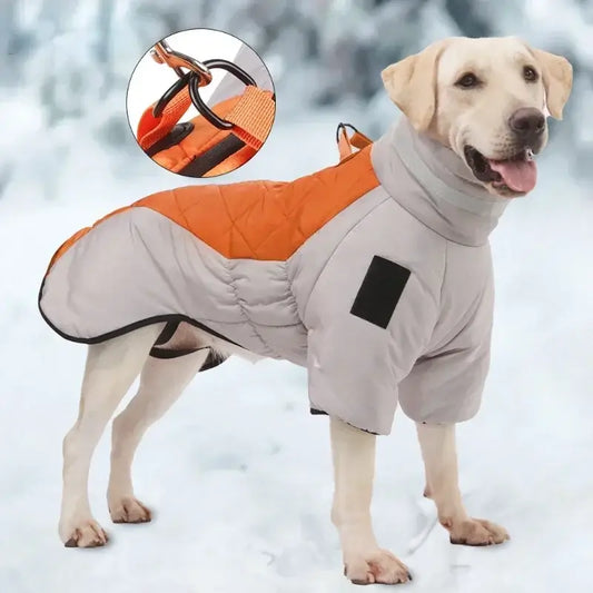 Happy Labrador wearing a waterproof and windproof winter dog jacket in a snowy setting, showcasing comfort and style.
