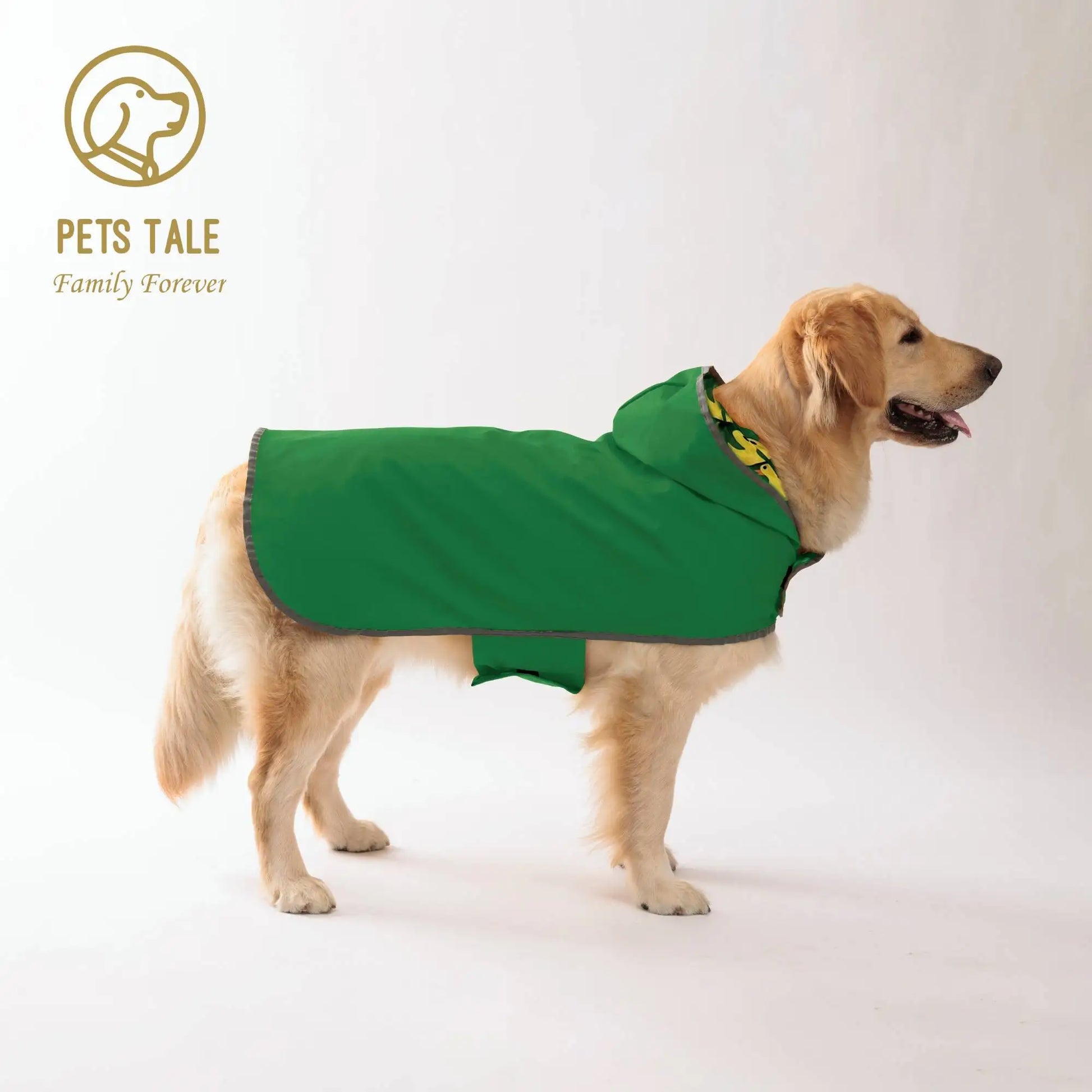 A golden retriever wearing a green dog raincoat by Pets Tale.