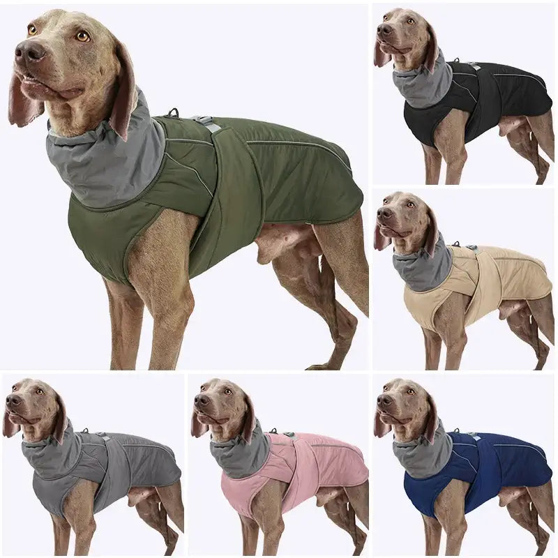 Dog winter jacket in various colors with reflective safety, suitable for big and small dogs, durable and water-resistant.