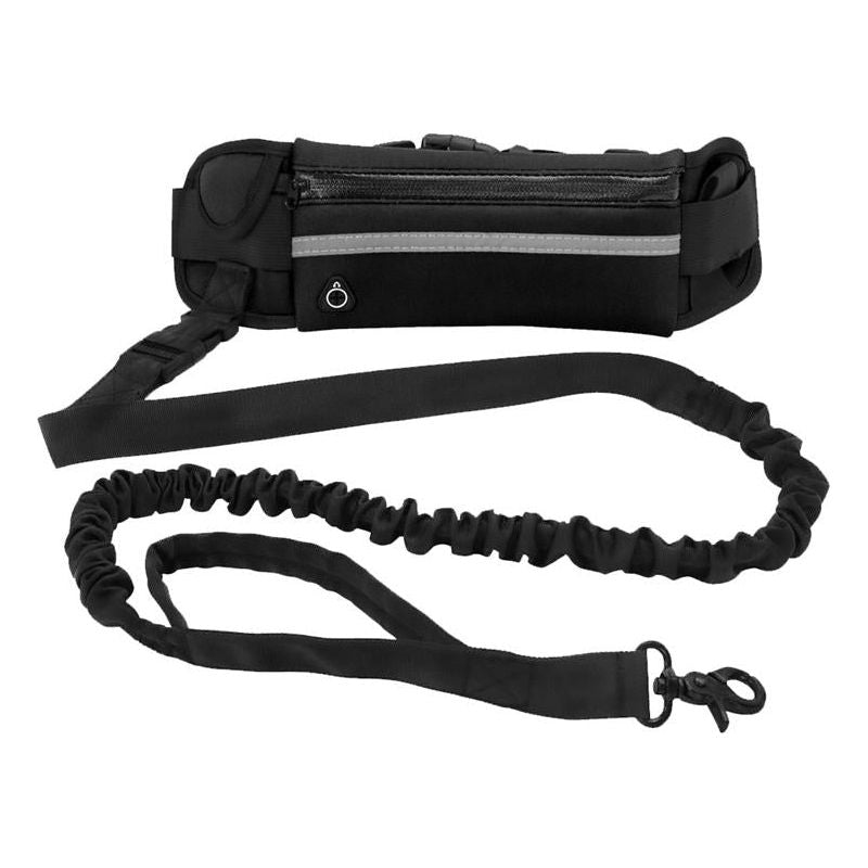 Handsfree Leash - Sunny Sydney Australia - Famous Outdoor Gear Store