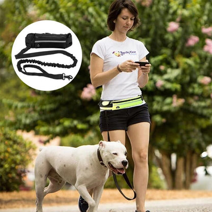 Handsfree Leash - Sunny Sydney Australia - Famous Outdoor Gear Store