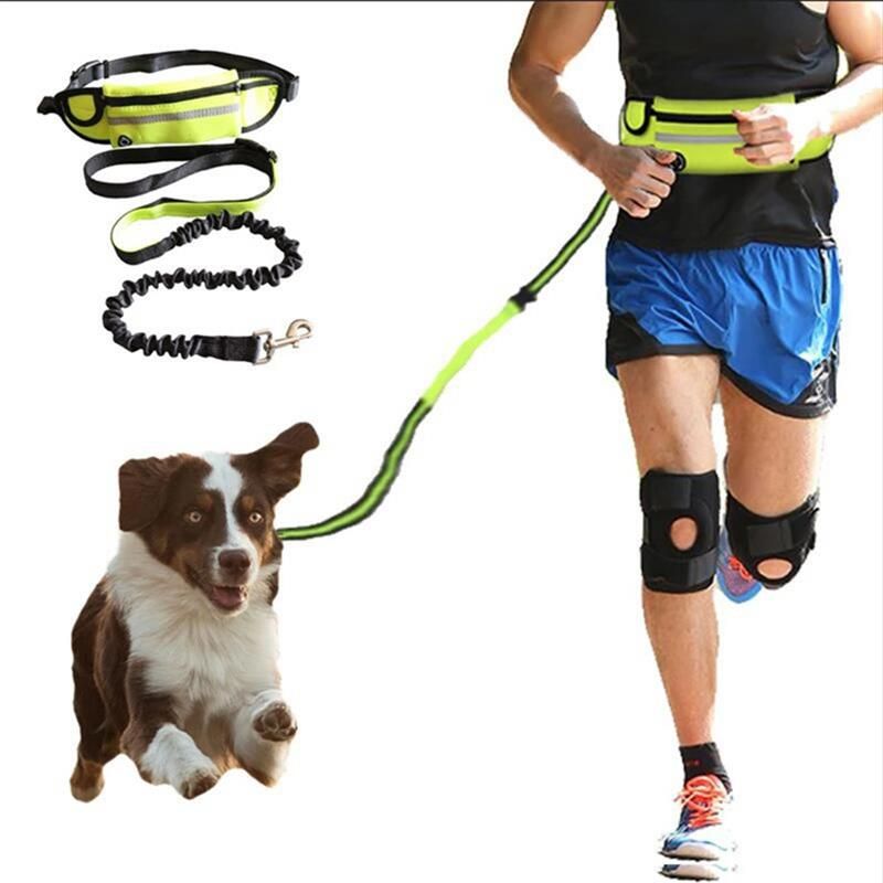 Handsfree Leash - Sunny Sydney Australia - Famous Outdoor Gear Store