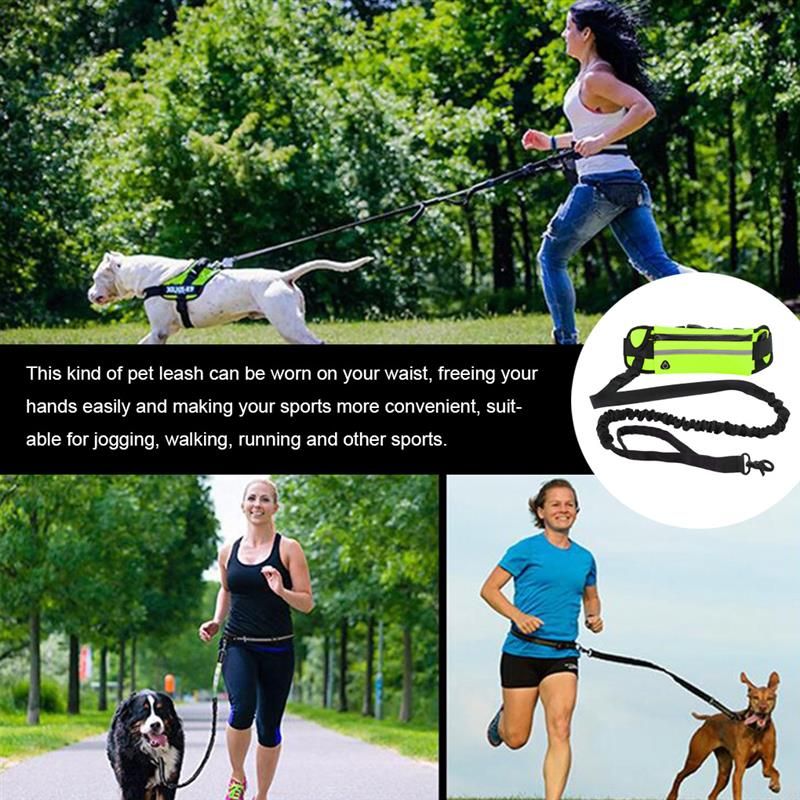 Handsfree Leash - Sunny Sydney Australia - Famous Outdoor Gear Store