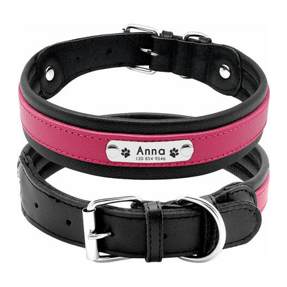 Engraved  Dog Collar - Sunny Sydney Australia - Famous Outdoor Gear Store