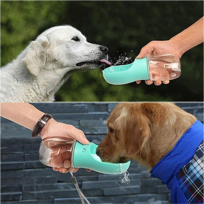 Dog Water Bottle - Sunny Sydney Australia - Famous Outdoor Gear Store