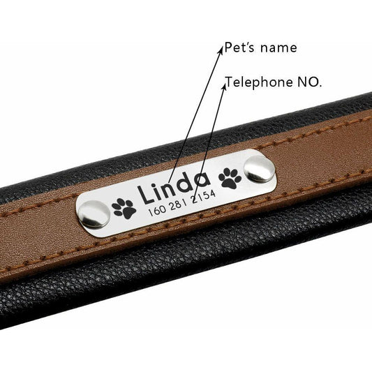 Engraved  Dog Collar - Sunny Sydney Australia - Famous Outdoor Gear Store